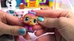 LPS 5 Random Bobbleheads EBAY Littlest Pet Shop Lot Mystery Surprise Pets Haul Review Unbo