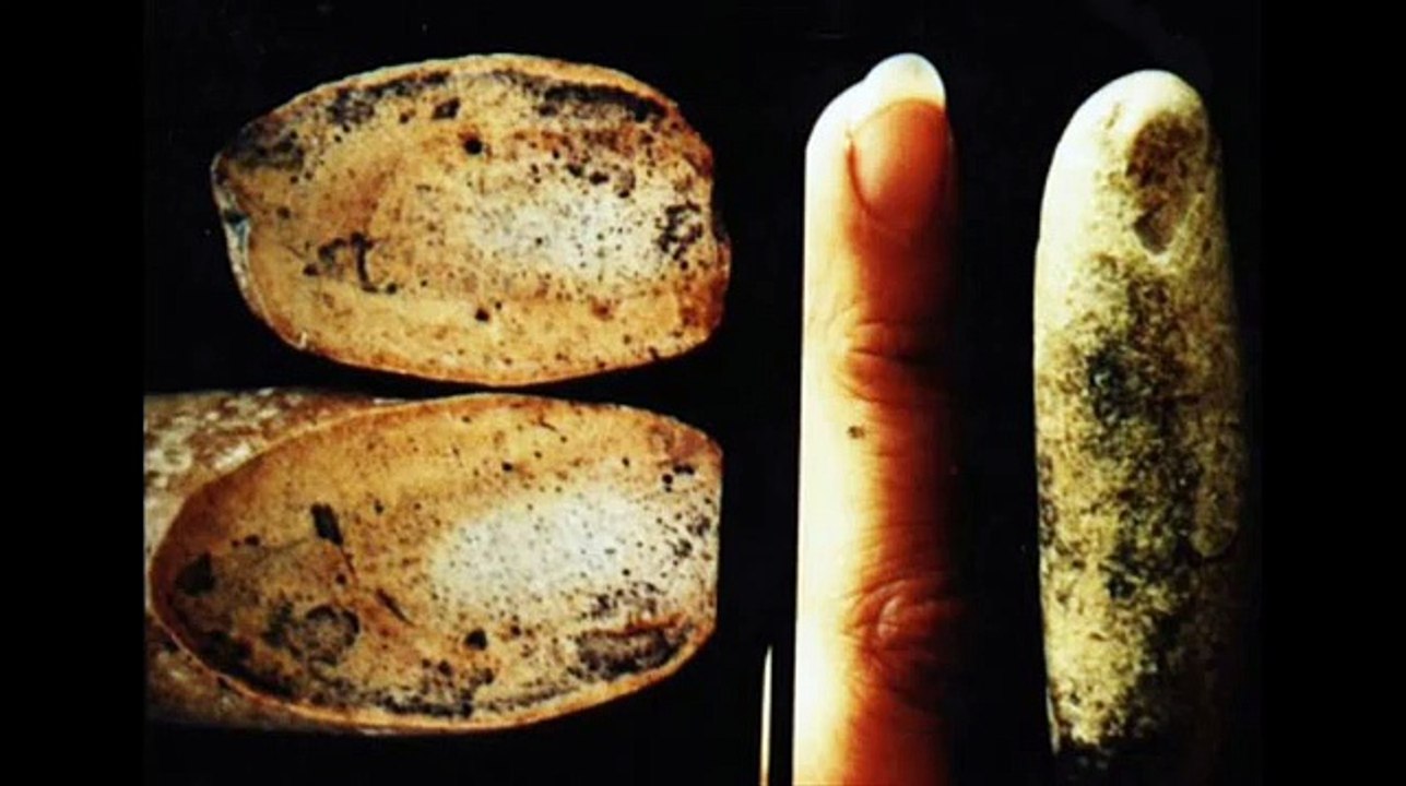 Top Secret breaking newsThe Truth About Nephilim Giants they do exist even today