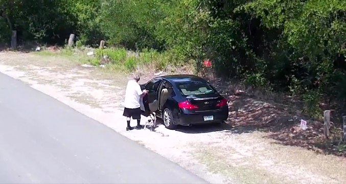 Un homme abandonne son chien