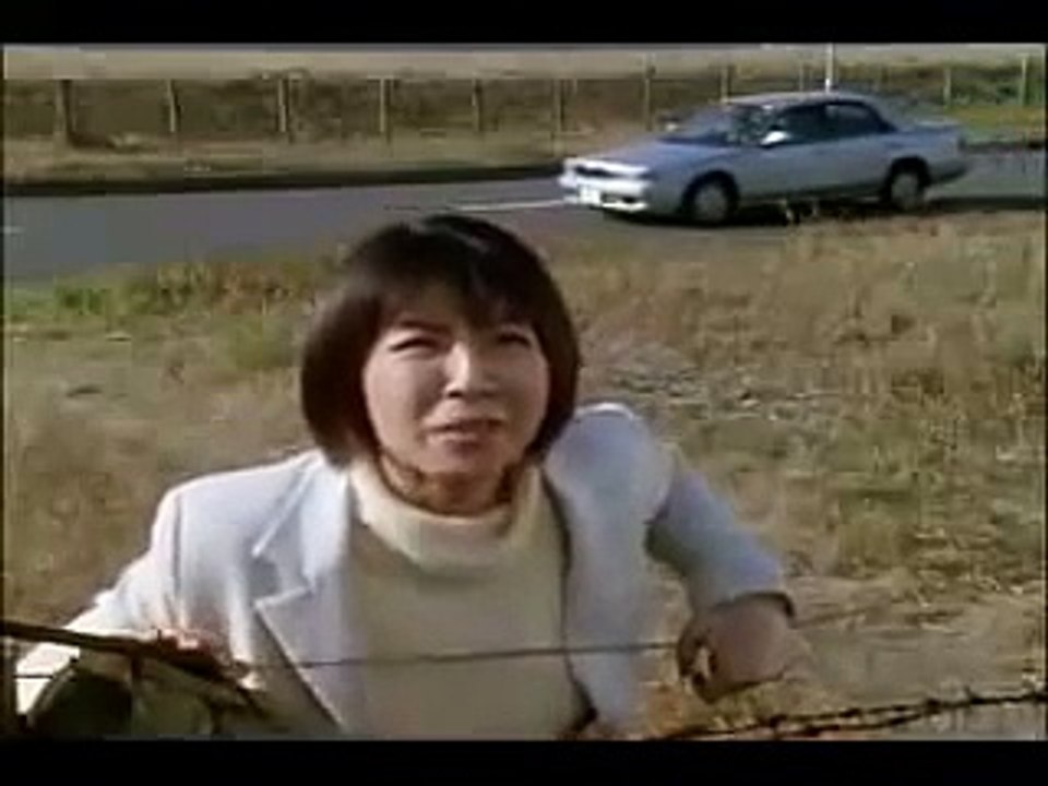 Ultraman Gaia Vs. Ultraman Agul