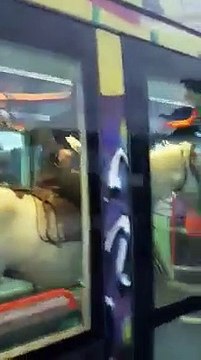 Un homme à cheval monte dans le tramway de Montpellier