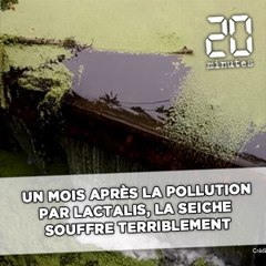 Un mois après la pollution par Lactalis, la Seiche souffre terriblement