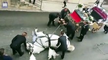 Un cheval qui tirait une calèche pour un mariage, s'effondre à bout de forces