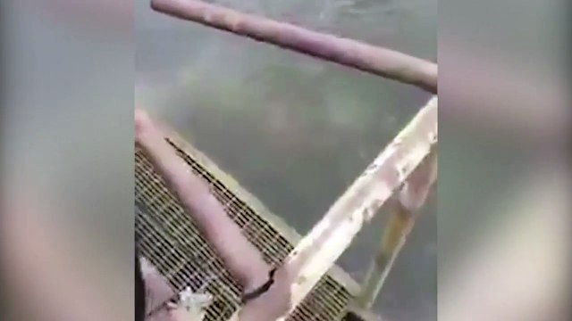 Tụng thần chú giữa hồ nước, thầy pháp Indonesia bất ngờ bị cá sấu dìm chết