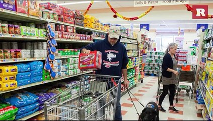 5 Facts About Service Dogs | Rare Animals