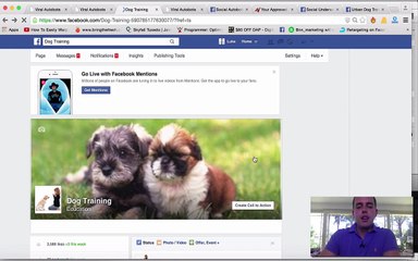 Viral Autobots Demo - How does it works