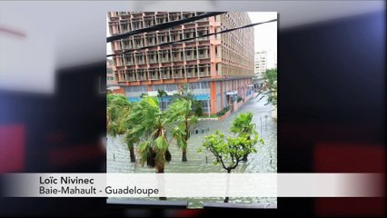 JT breton du mercredi 20 septembre 2017 : des compétiteurs qui ont du chien