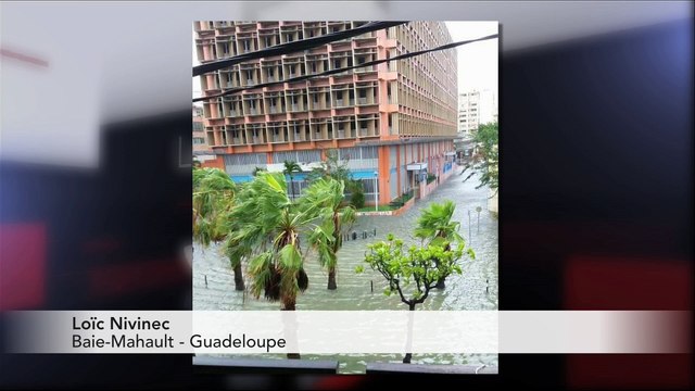 JT breton du mercredi 20 septembre 2017 : des compétiteurs qui ont du chien