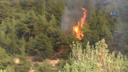 Karabük'te Yangın Giderek Büyüyor