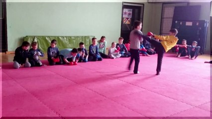 emKARATE - trening55 Vitez 2017