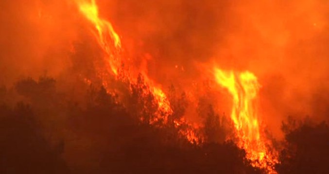 Karabük'teki Orman Yangını Rüzgarın Etkisiyle Büyüyor