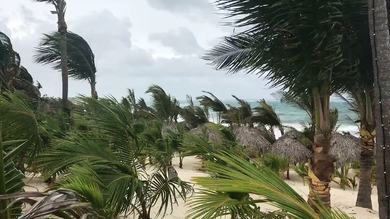 Riu Republica 2