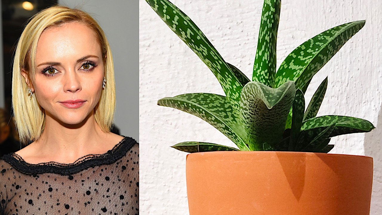 Famous Fears: 3 Surprising Celebrity Phobias