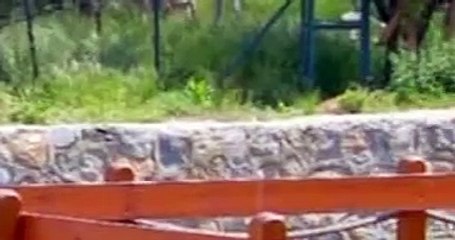 maser asiya241 full #ser2M- مسلسل مصير اسية الحلقة  241 المقطع 3