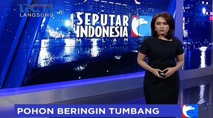 Mobil Ringsek Tertimpa Pohon Beringin di Petamburan