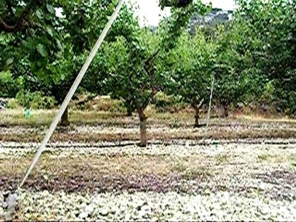 Toujours le petit C15 version WRC