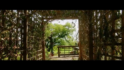 Estreia: 16 de Novembro de 2017  Olhos Famintos 3 (Jeepers Creepers 3)