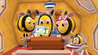 The Hive - Buzzbees Holiday