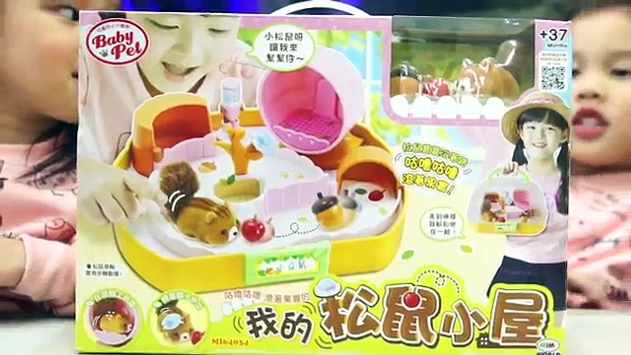 Paula姐姐我的松鼠小屋玩具開箱佩佩豬你好跟粉紅豬小妹 kids 도토리를 굴리는 데굴데굴 다람이 집 開箱一起玩玩具就在Sunny Yummy Kids TOYs 感謝大家的