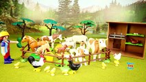 PLAYMOBIL Country Farm Animals Pen and Hen House Building Set Build Review