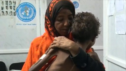 نواب بريطانيون يطالبون الأمم المتحدة بحل أزمة اليمن