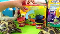 Пластилин Плей До Черепашка на русском языке,Unboxing Play Doh Turtle