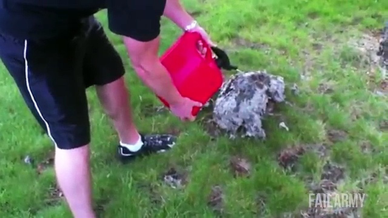 Best Fails of the Week 1 October 2014 || FailArmy