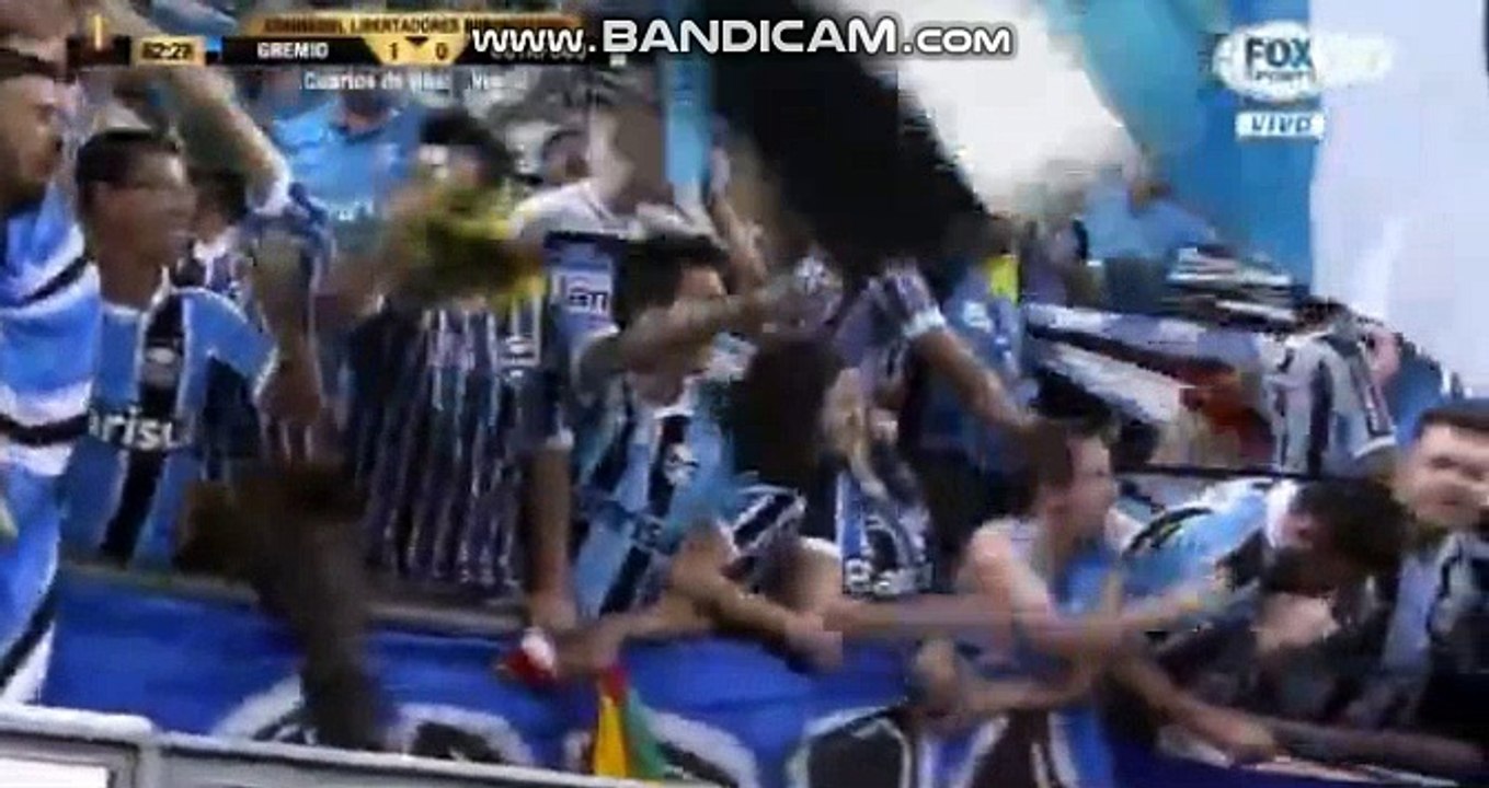 Lucas Barrios Goal ~ Gremio vs Botafogo 1-0