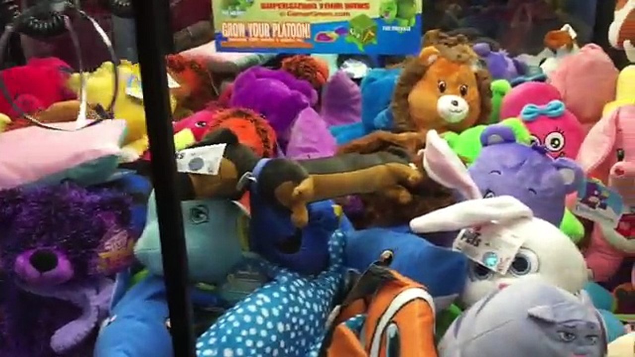 Winning The Secret Life of Pets Movie Plush from the Claw Machine!