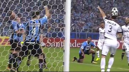 Grêmio vs Botafogo 1-0 ~ Goal & Highlights