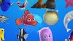 LEARN SEA ANIMALS & WATER ANIMALS NAMES AND SOUND REAL OCEAN SOUND ANIMAL VIDEO FOR KIDS PART 4