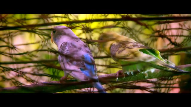 Những ngôi sao Vpop bỗng chốc tỏa sáng trên con đường diễn xuất