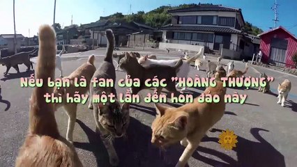 Nếu bạn là fan của các "hoàng thượng" thì hãy một lần đến hòn đảo này