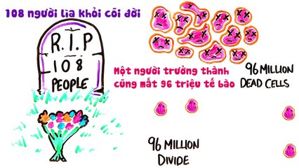 Trong một phút có thể xảy ra những gì