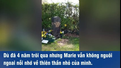 Câu chuyện về người mẹ đến thăm mộ cậu con trai quá cố