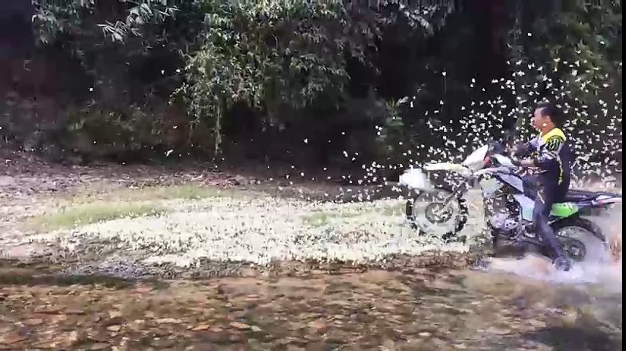 Đoạn clip ghi lại cảnh tượng 1 phượt thủ "tàn sát" đàn bướm đang khiến cư dân mạng vô cùng bức xúc.