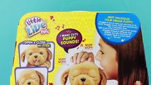 Little Live Pets Snuggles Interive Puppy Stuffed Animal