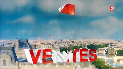 Florian Philippot annonce sur France 2 qu'il quitte "bien évidemment le FN après avoir été sanctionné par Mar