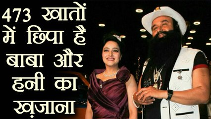 Gurmeet Ram Rahim: SIT investigated 473  bank accounts of Honeypreet and Baba । वनइंडिया हिंदी