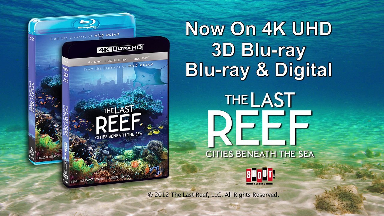 その他 Imax: The Last Reef: Cities Beneath the Sea [Blu-ray] [Import] Imax: The Last Reef: Cities Beneath the Sea [Blu-ray] [Import