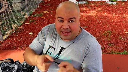 THE ONLY ANDROID APK YOU WILL EVER NEED