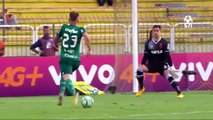 Vasco 1 x 1 Palmeiras - Melhores Momentos (COMPLETO) Campeonato Brasileiro 2017