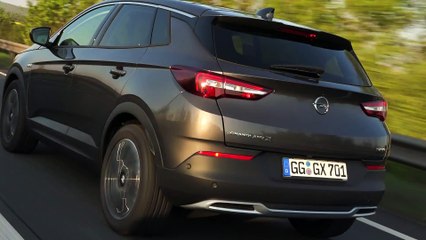 Opel Grandland X in Grey Driving Video