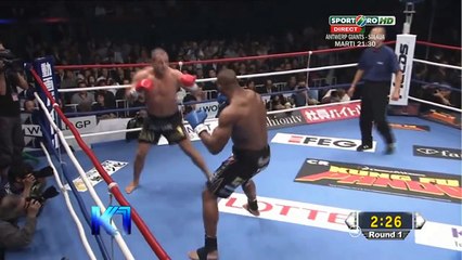 Alistair overeem VS Gokhan Saki K1