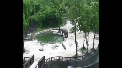 VID-20170720-WA0075