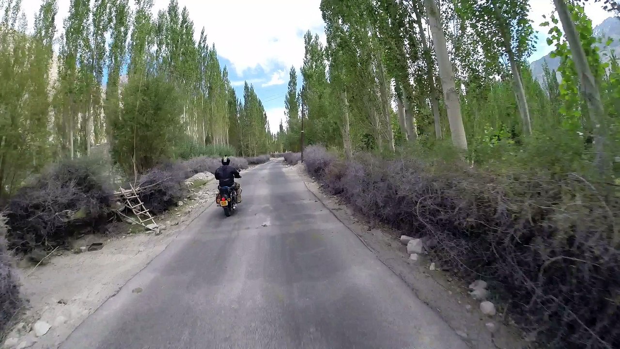 Panamik jump 	बजाज 601
