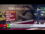 To GMO or not to GMO: EU to let members decide on modified crops