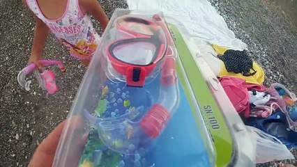 Denizde yengeç gördük, Dev Patlıcan plajda ve sualtı görüntüleri