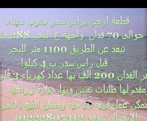 قطعة ارض للبيع  70 فدان براس سدر تصلح قرية سياحية