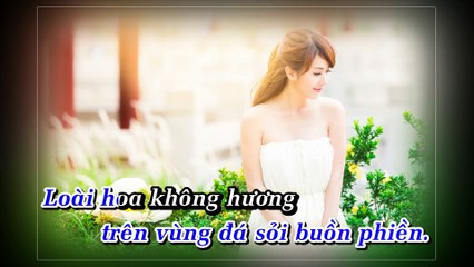 [Karaoke] Hoa Trinh Nữ - Nhạc Sống Chọn Lọc